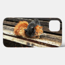 Buscar gatitos ipad fundas 9 º gata