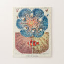 Buscar impreso puzzles Vintage