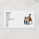 Buscar felinos tarjetas de visita Gatitos