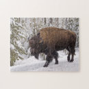 Buscar bisontes puzzles General y unisex