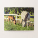 Buscar caballo gris puzzles Caballos