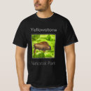Buscar bisonte camisetas Amarilla