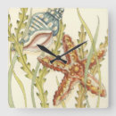 Buscar estrellas mar de relojes de pared Pescados de la estrella