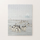 Buscar pingüinos puzzles Familia
