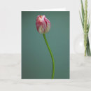 Buscar bulb tarjetas Petal