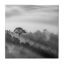 Buscar árbol blanco y negro azulejos Arbolado