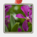 Buscar molinos adornos Jardín