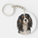 Buscar cavalier llaveros Amante de los perros