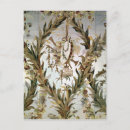 Buscar murales postales Floral