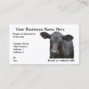 Buscar angus Vaca