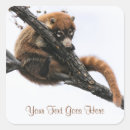 Buscar sonoras pegatinas Desierto