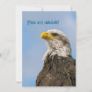 Buscar rapaz fotografía Águila calva
