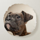 Buscar brindle cojines Boxeador