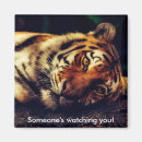 Buscar tiger imanes Adorable