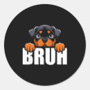 Buscar sobre rottweiler pegatinas Amante de los perros
