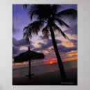 Buscar clima tropical posters Agua
