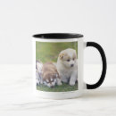 Buscar perro el dormir tazas Al aire libre
