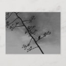 Buscar árbol de halloween postales General y unisex