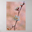 Buscar pulgas posters Para todos