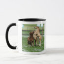 Buscar 3 caballos tazas Animal