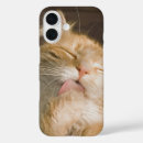 Buscar orejas iphone fundas Animales