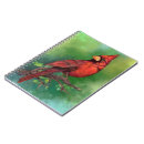 Buscar cardenal rojo libretas Cardenal del norte