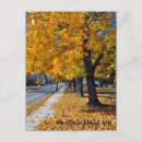 Buscar nueva inglaterra fotografía Fotografía de otoño