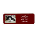 Buscar trendy pet General y unisex