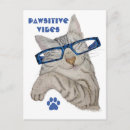 Buscar gatos divertidos postales Amantes de los gatos