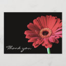 Buscar gerberas tarjetas Invitados