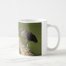 Buscar el birding tazas Birder