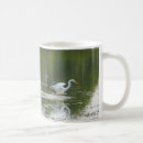 Buscar egrets otros Pájaro