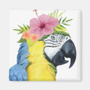 Buscar loros imanes Animales