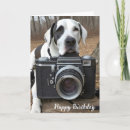 Buscar great dane tarjetas Perro