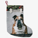 Buscar nombre calcetines navideños Para mascotas
