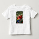 Buscar guacamayas camisetas Brasileño