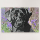 Buscar labrador negro puzzles Retrato