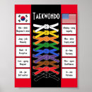 Buscar coreano posters Taekwondo