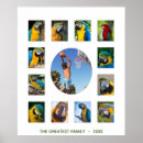 Buscar reunión posters Colorido