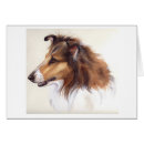 Buscar collie áspero Lindo
