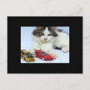 Buscar intercambios postales Animal