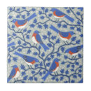 Buscar pájaro azul azulejos Verano