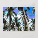 Buscar diseño tropical postales Árboles