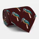 Buscar kingfisher corbatas Pájaro