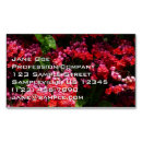 Buscar flores coloridas tarjetas de visita General y unisex