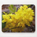 Buscar oregon alfombrillas de raton Flor
