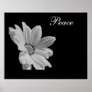 Buscar luna de miel posters Destino