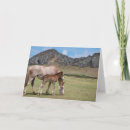 Buscar cindy tarjetas Rancho