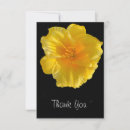 Buscar fondo amarillo tarjetas General y unisex