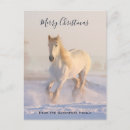 Buscar equine christmas postales Ecuestre